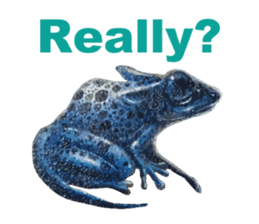 Frog-mates Stickers(English ver) sticker #10111854