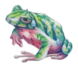 Frog-mates Stickers(English ver) sticker #10111859
