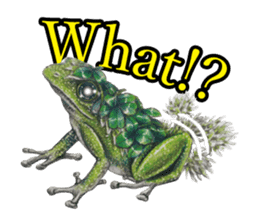 Frog-mates Stickers(English ver) sticker #10111860