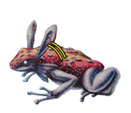 Frog-mates Stickers(English ver) sticker #10111862