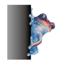 Frog-mates Stickers(English ver) sticker #10111864