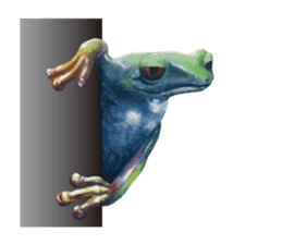 Frog-mates Stickers(English ver) sticker #10111865