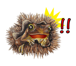 Frog-mates Stickers(English ver) sticker #10111866