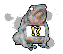 Frog-mates Stickers(English ver) sticker #10111867