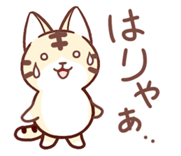 Torakichi and every day sticker #10113483