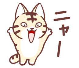 Torakichi and every day sticker #10113485