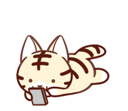 Torakichi and every day sticker #10113497