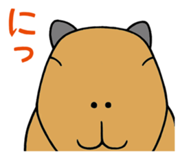 Daily Life of of a Stray Capybara (3) sticker #10114956