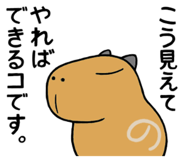 Daily Life of of a Stray Capybara (3) sticker #10114972