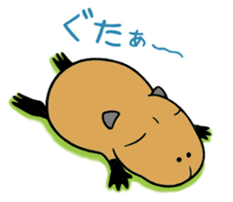 Daily Life of of a Stray Capybara (3) sticker #10114982