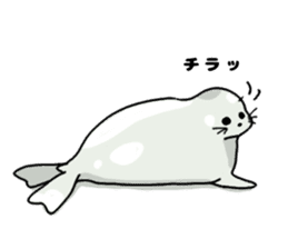 Bikal seal sticker #10115309