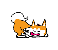 Shiba inu MOMO chan the third as well 15 sticker #10118754