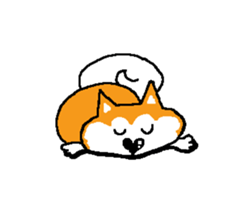 Shiba inu MOMO chan the third as well 15 sticker #10118755
