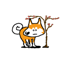 Shiba inu MOMO chan the third as well 15 sticker #10118759
