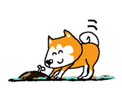 Shiba inu MOMO chan the third as well 15 sticker #10118763