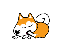 Shiba inu MOMO chan the third as well 15 sticker #10118764