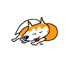 Shiba inu MOMO chan the third as well 15 sticker #10118766