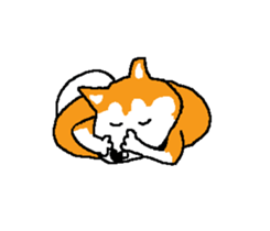 Shiba inu MOMO chan the third as well 15 sticker #10118767