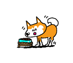 Shiba inu MOMO chan the third as well 15 sticker #10118768