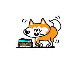 Shiba inu MOMO chan the third as well 15 sticker #10118769