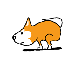 Shiba inu MOMO chan the third as well 15 sticker #10118772