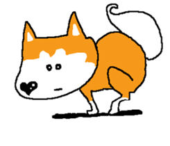 Shiba inu MOMO chan the third as well 15 sticker #10118773