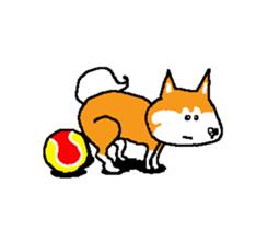 Shiba inu MOMO chan the third as well 15 sticker #10118774