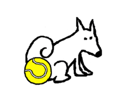 Shiba inu MOMO chan the third as well 15 sticker #10118775