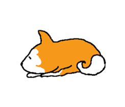 Shiba inu MOMO chan the third as well 15 sticker #10118777