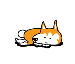 Shiba inu MOMO chan the third as well 15 sticker #10118778