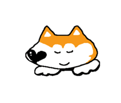 Shiba inu MOMO chan the third as well 15 sticker #10118779