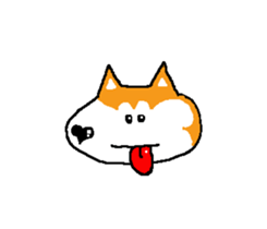 Shiba inu MOMO chan the third as well 15 sticker #10118782