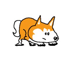 Shiba inu MOMO chan the third as well 15 sticker #10118789