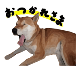 Sticker Shibainu(vol3) sticker #10119117
