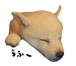 Sticker Shibainu(vol3) sticker #10119119