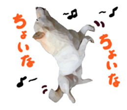 Sticker Shibainu(vol3) sticker #10119130