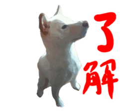 Sticker Shibainu(vol3) sticker #10119142