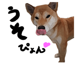 Sticker Shibainu(vol3) sticker #10119144