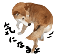 Sticker Shibainu(vol3) sticker #10119147