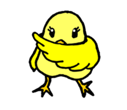 A yellow bird Piyo sticker #10124556