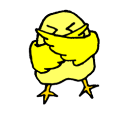 A yellow bird Piyo sticker #10124559