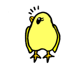 A yellow bird Piyo sticker #10124562