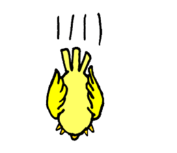 A yellow bird Piyo sticker #10124565