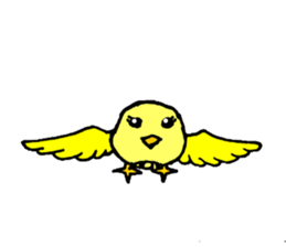 A yellow bird Piyo sticker #10124566
