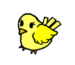 A yellow bird Piyo sticker #10124570