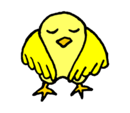 A yellow bird Piyo sticker #10124573