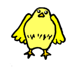 A yellow bird Piyo sticker #10124582