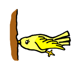 A yellow bird Piyo sticker #10124587