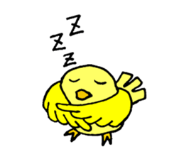 A yellow bird Piyo sticker #10124590