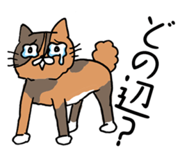 Couple cycling is a hobby. (Roadbike) sticker #10125497